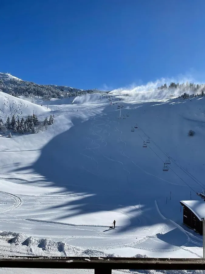 Apartment Le Recoin D'Eaubonne, Charmant 2 Pieces Pieds Des Pistes 4 Pers Les Balcons De Recoin Chamrousse France